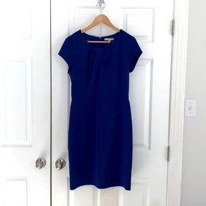 Banana Republic Blue Fitted Dress with Detail